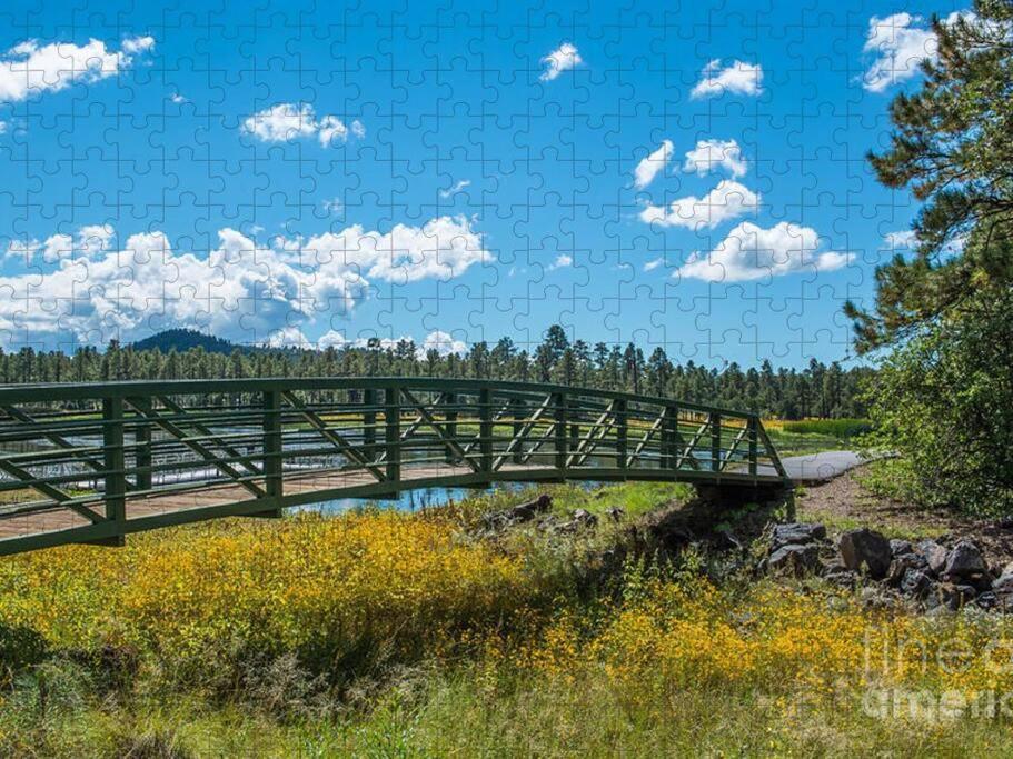 فيلا باينتوب ليكسايدفي Pine Cone Cabin المظهر الخارجي الصورة
